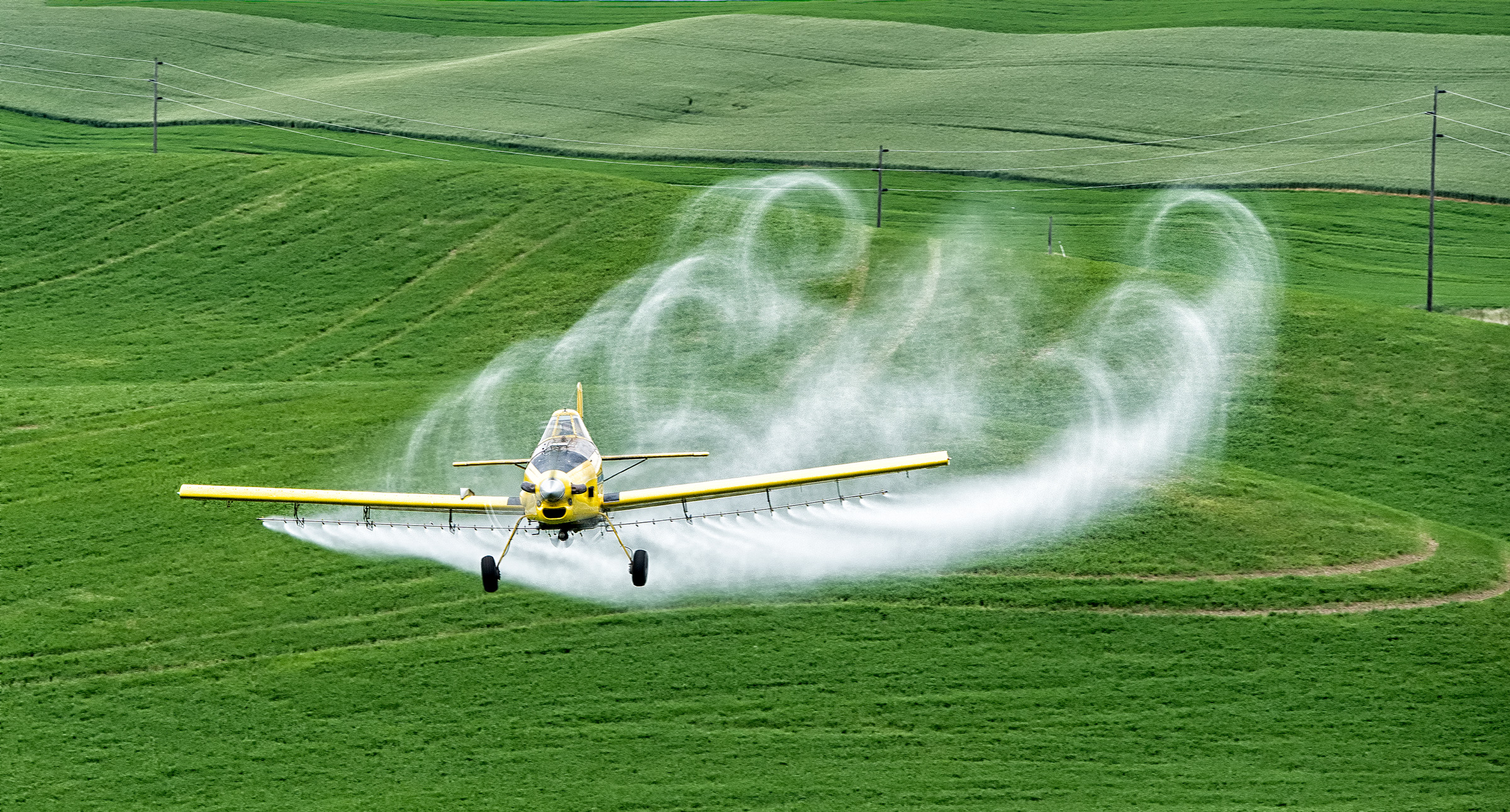 planes crop duster dusty